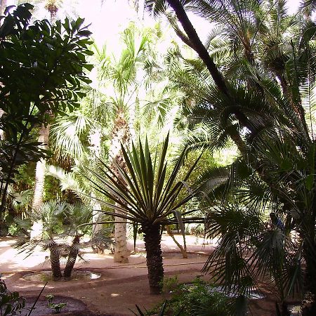 Appart avec vue Jardin/Majorelle Marrakesh Extérieur photo