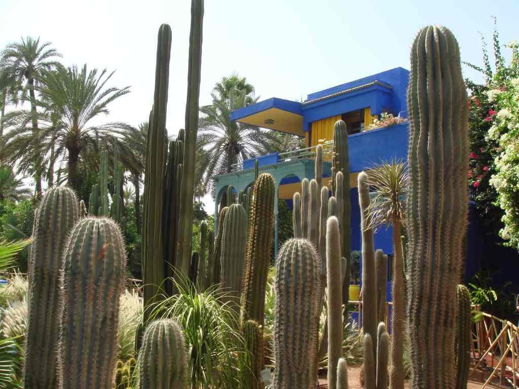 Appart avec vue Jardin/Majorelle Marrakesh Extérieur photo