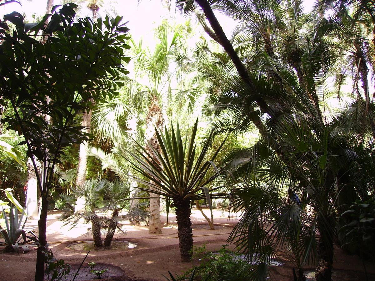 Appart avec vue Jardin/Majorelle Marrakesh Extérieur photo